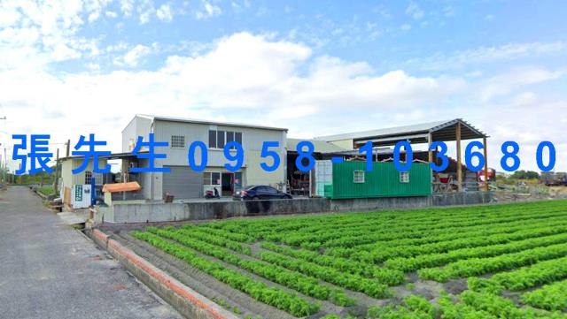 雲林元長法拍透天-2