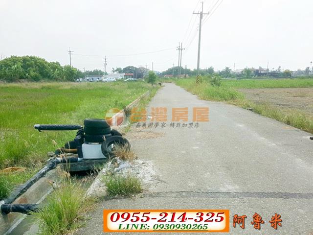 水林農地-4