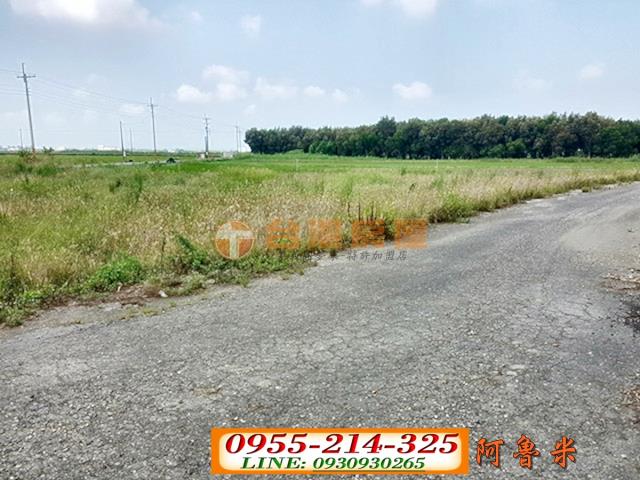 水林農地-6