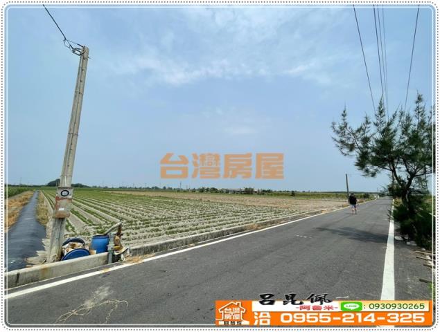 雲林四湖農地-4