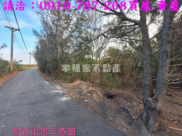 雲林台西農地-9