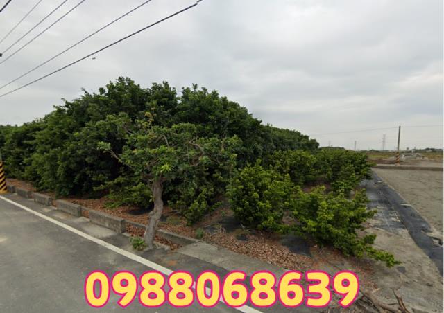 麥寮農地-1