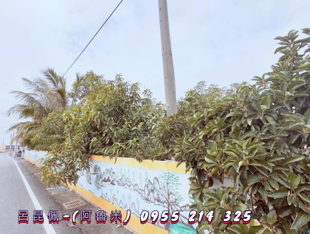 雲林水林建地-1