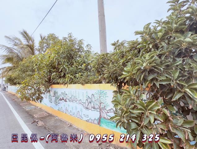 雲林水林建地-3