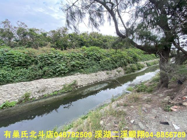 雲林台西農地-6