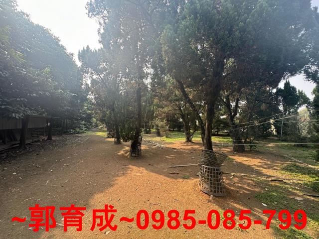 雲林農地-7