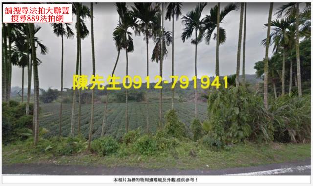 古坑農地法拍-13