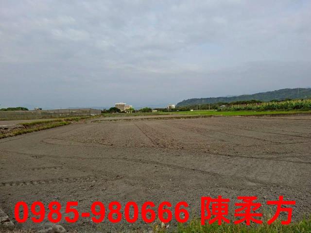 雲林林內農地-11