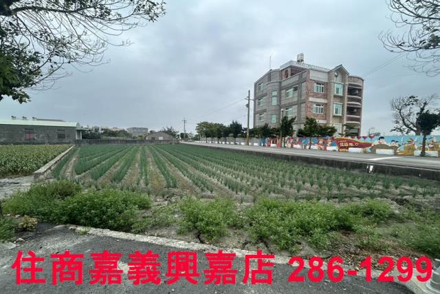 褒忠建地-6