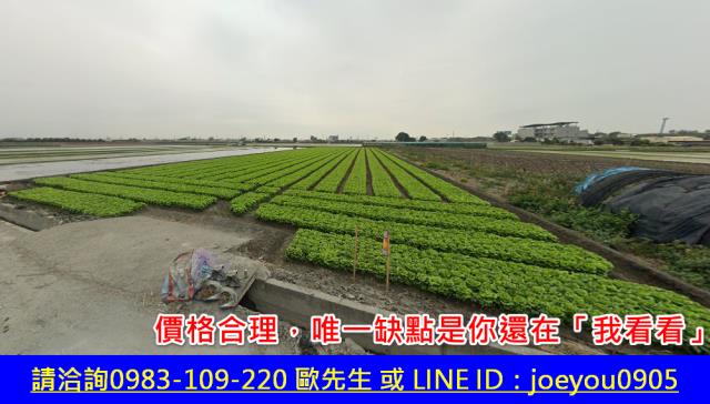 雲林農地法拍-3