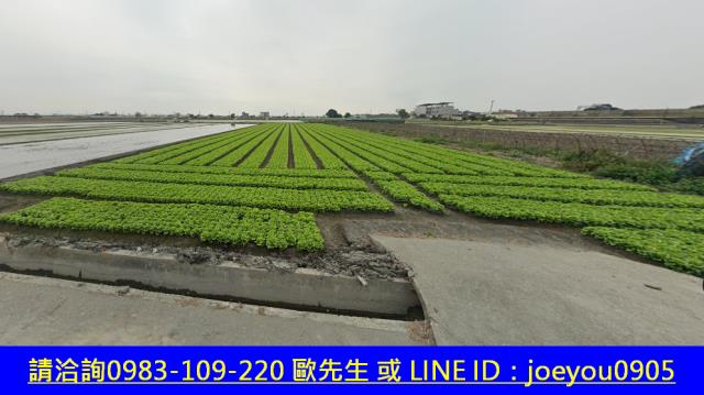 雲林農地法拍-4