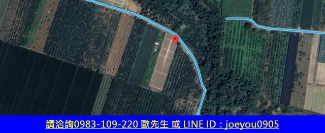 斗六法拍農地-9