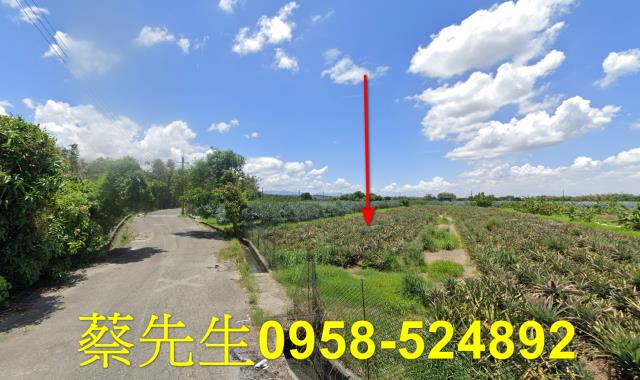 雲林斗六法拍農地-12