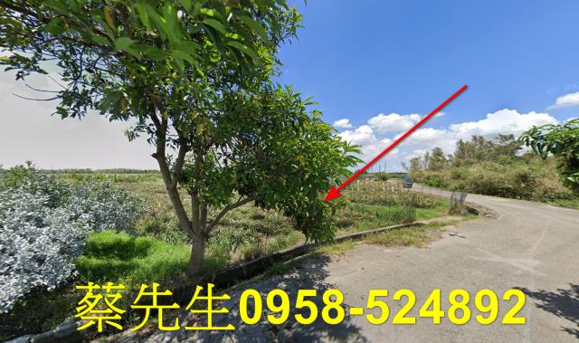雲林斗六法拍農地-13