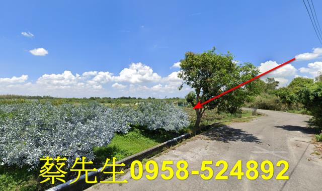 雲林斗六法拍農地-15