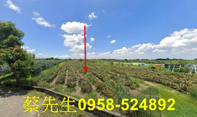 雲林斗六法拍農地-9