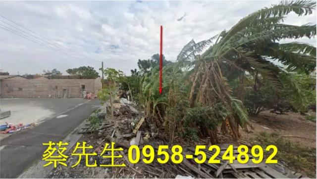 雲林麥寮法拍建地-4