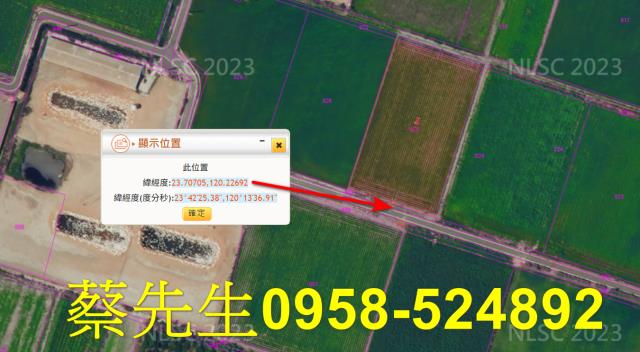 台西農地法拍-11