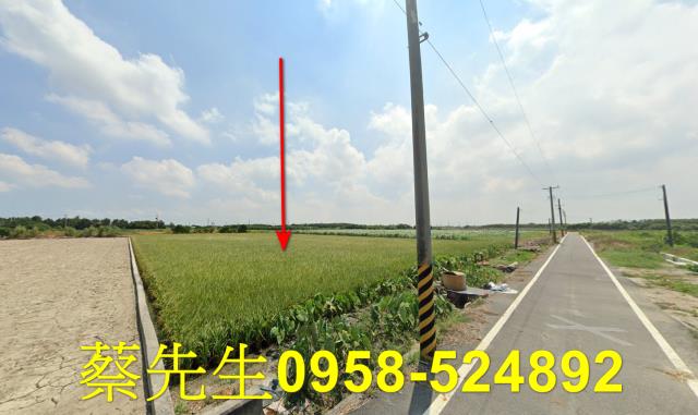 台西農地法拍-12