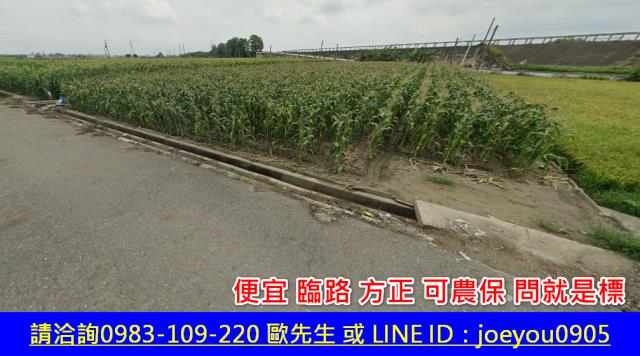 雲林元長法拍農地-10