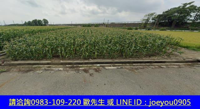 雲林元長法拍農地-4