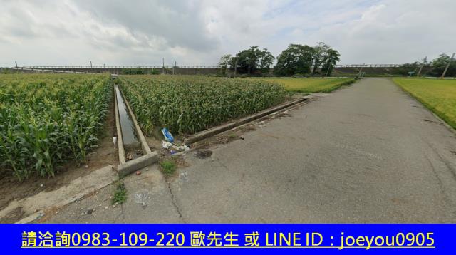 雲林元長法拍農地-5