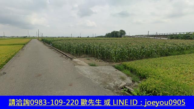 雲林元長法拍農地-6
