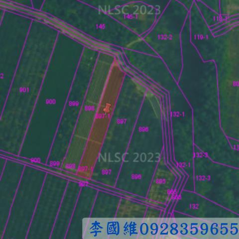 雲林古坑法拍農地-3