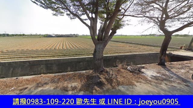雲林農地法拍-11